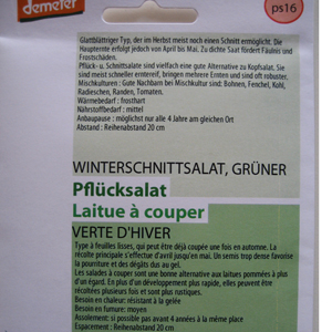 Grüner Winter-Schnittsalat, Bio, Mini-Pack
