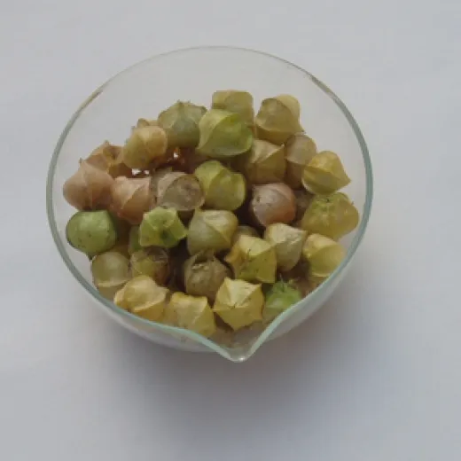 Ananaskirsche, Bio Ananaskirsche, Bio