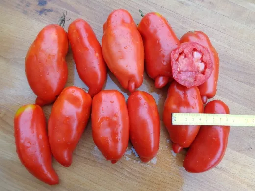 Andenhorn, Vorteilspack