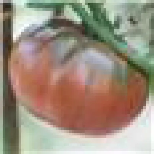 Black from Tula, Bio