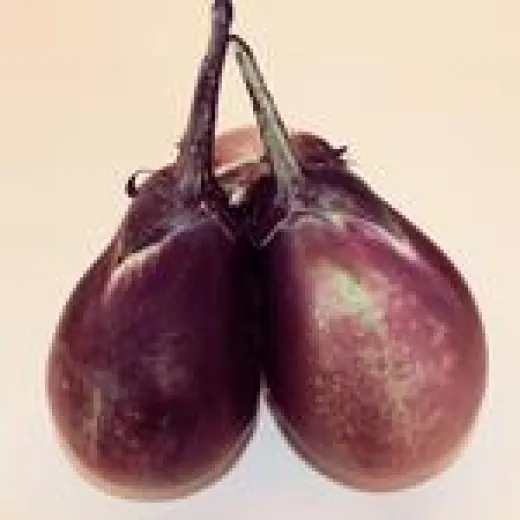 Cesky Rany, Bio Cesky Rany, Bio