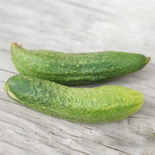 Cornichons de Bourbonne, Bio Cornichons de Bourbonne, Bio