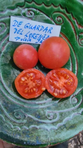 De Guardar Lorenza De Guardar Lorenza