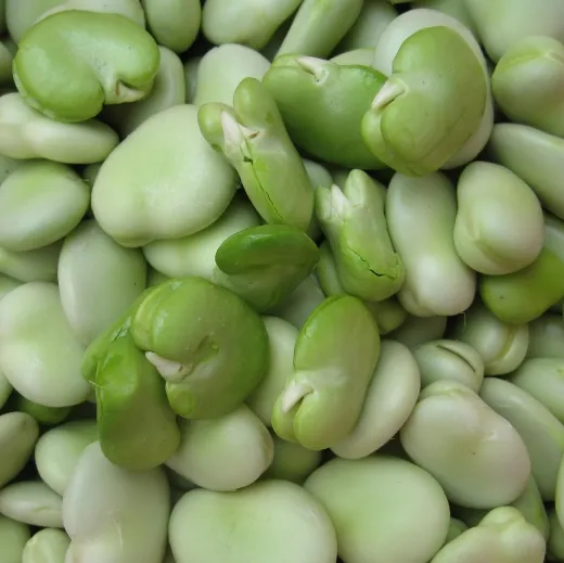 Dr. Becker Nr. 1, Bio, Mini-Pack Dr. Becker Nr. 1, Bio, Mini-Pack