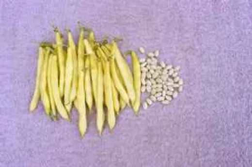 Dr. Becker Nr. 18, Bio, Mini-Pack