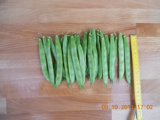 Dr. Becker Nr. 20, Bio Dr. Becker Nr. 20, Bio