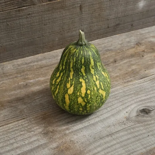 Grüner Butternut, Bio