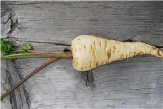 Halblange aus Guernsey, Bio Halblange aus Guernsey, Bio