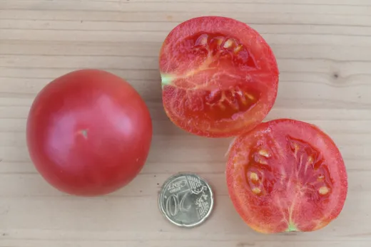 Ljana Rosovaja, Bio Ljana Rosovaja, Bio