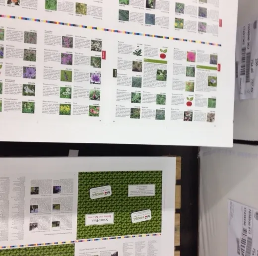 Sorten-Fibel Blumen und Kräuter