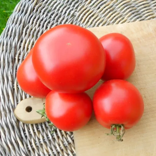 Süße von Ungarn, Bio, Vorteilspack