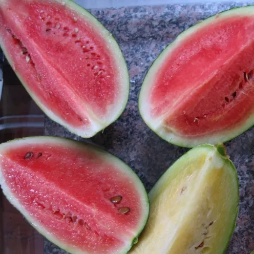 Sugar Baby, Bio Sugar Baby, Bio