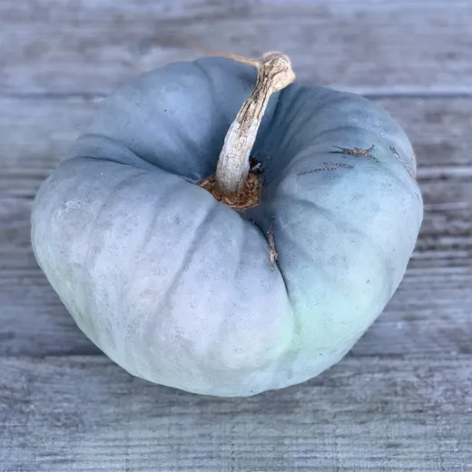 Tristar, Bio Tristar, Bio