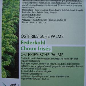 Ostfriesische Palme, Bio