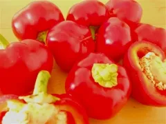 Alma, Vorteilspack, Bio