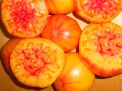 Ananastomate, Bio, Vorteilspack