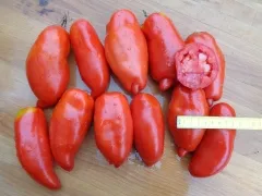 Andenhorn, Vorteilspack