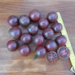 Cherry Black, Bio, Vorteilspack