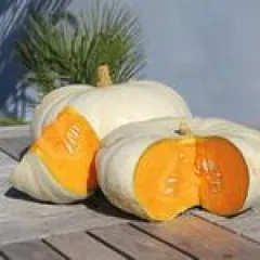 Flat White Boer, Bio