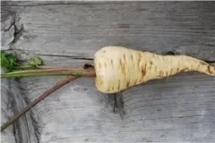 Halblange aus Guernsey, Bio