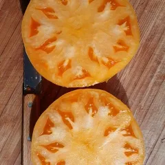 Hawaiian Pineapple, Bio