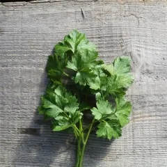 Italienische Petersilie, Bio, Mini-Pack