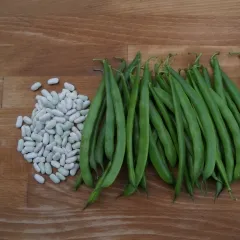 Kleine Weisse aus der Touraine, Bio, Mini-Pack