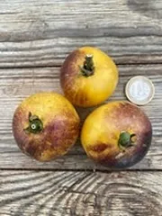 Little Fuzzy Blue Ball, Bio