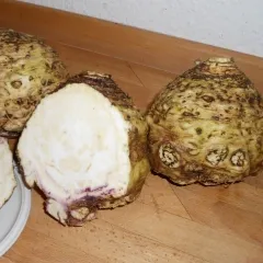 Magdeburger Markt, Bio