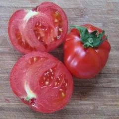 Merveille des Marchés