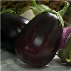 New Yorker Riesen, Bio