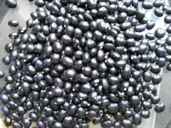 Schöne von Richigen, Bio, Mini-Pack