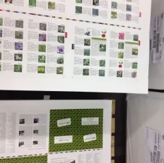 Sorten-Fibel Blumen und Kräuter