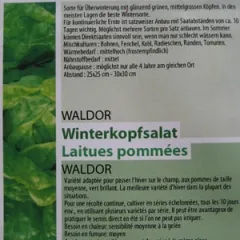 Valdor, Bio